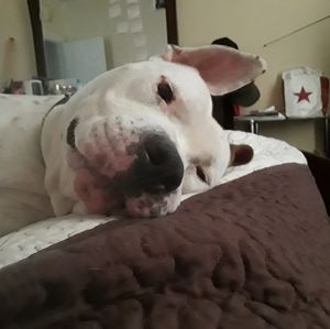 Meet your Posher, Burnest